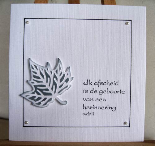 W04-014/WonderHouse/�������ϥ���/������ȴ����/ �դä� �����祦��������  4�祻�å�