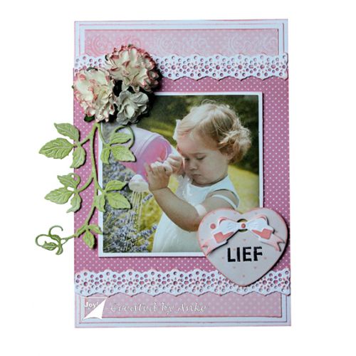 6002-0645/Joy! Crafts/祤ե/ȴ/Mini flowe rlace  졼 ܡ border