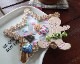 ꡼/ȥåԥ󥰥奬Sweet Sprinkles (ѤǤϤޤ/Spellbinders