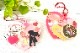 ꡼/ȥåԥ󥰥奬Sweet Sprinkles (ѤǤϤޤ/Spellbinders