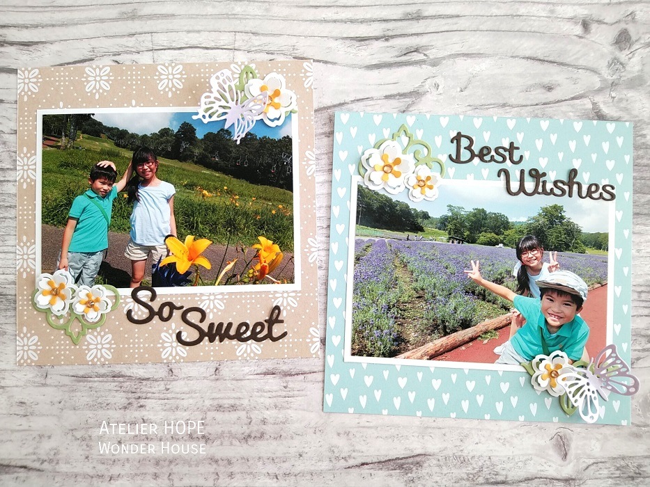 DCN021/ELLENTINA/�����ƥ�����/������ȴ����/BUTTERFLIES ĳ