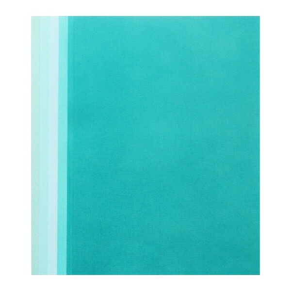 P803419/ϥ/ڡѡå(忧ˡ10ꡡA4(29.821.0cm)