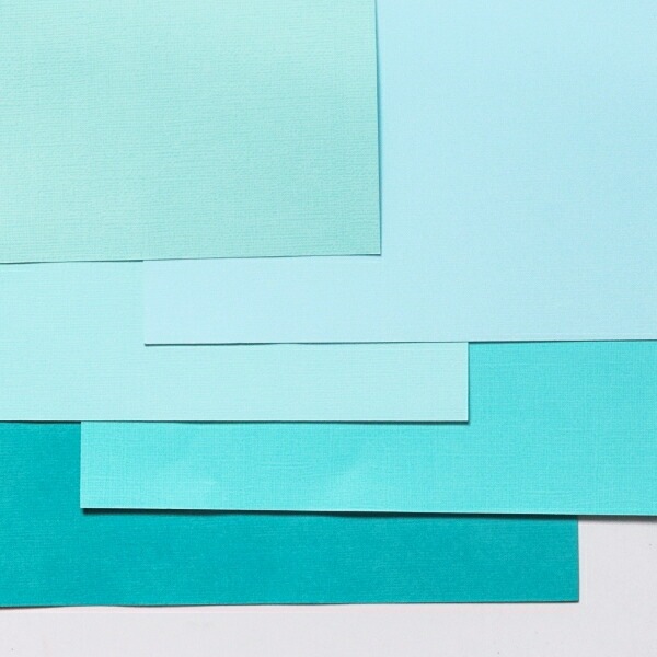 P803419/ϥ/ڡѡå(忧ˡ10ꡡA4(29.821.0cm)