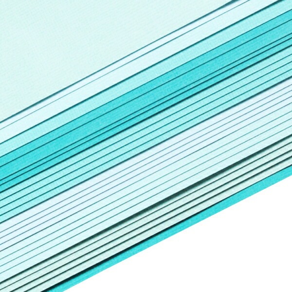P803419/ϥ/ڡѡå(忧ˡ10ꡡA4(29.821.0cm)