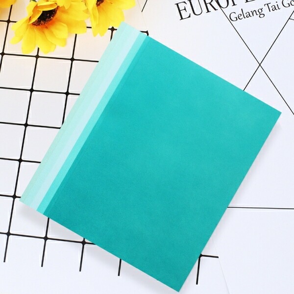 P803419/ϥ/ڡѡå(忧ˡ10ꡡA4(29.821.0cm)