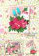 133/WonderHouse/�������ϥ���/������ȴ����/�դä� C��3�祻�å�