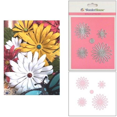 135/WonderHouse/�������ϥ���/������ȴ����/��  �Ϥʡ� �ơ�5�祻�å�