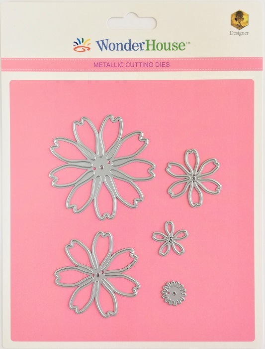 136/WonderHouse/�������ϥ���/������ȴ����/��  �Ϥʡ������⥹  5�祻�å�