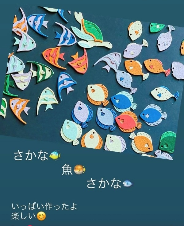 S4-1348/ڥХ/ȴUNDERWATER MARINE LIFE    γʪ    Ǯӵᡡҥ