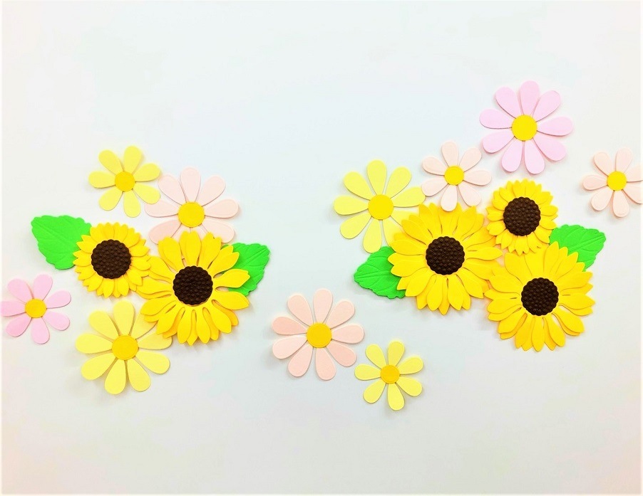137/WonderHouse/�������ϥ���/������ȴ����/��  �Ϥʡ� 5�祻�å�
