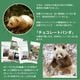 �ڥ��ե��б�̵���̤ۤ������ �ѥ�� �²� �ֲ� ���� �դ�դ� �ѥ�� �̤������ �礭�� �ѥ���̤������ ���� �ꥢ��̤������ panda  �֤���� ���襤�� �ꥢ�� �̤�����ߥѥ�� ��ʪ���ä��� ���襤�� ưʪ �İ��� ź���� �֥�å� �㿧 ����� �ץ쥼���