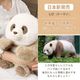 �ڥ��ե��б�̵���̤ۤ������ �ѥ�� �²� �ֲ� ���� �դ�դ� �ѥ�� �̤������ �礭�� �ѥ���̤������ ���� �ꥢ��̤������ panda  �֤���� ���襤�� �ꥢ�� �̤�����ߥѥ�� ��ʪ���ä��� ���襤�� ưʪ �İ��� ź���� �֥�å� �㿧 ����� �ץ쥼���