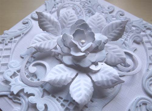 W04-014/WonderHouse/�������ϥ���/������ȴ����/ �դä� �����祦��������  4�祻�å�