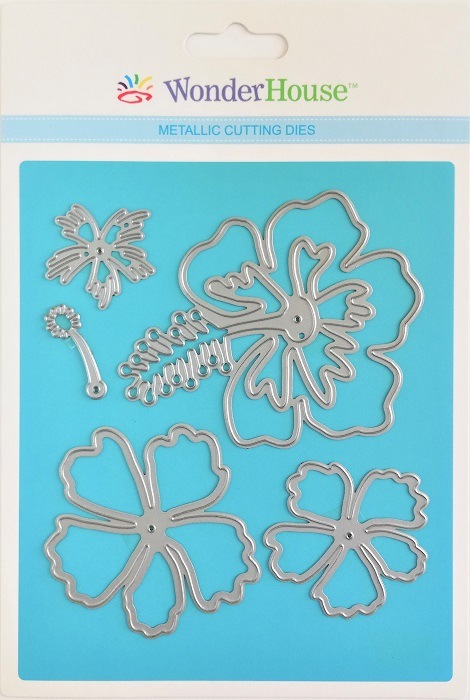 139/WonderHouse/�������ϥ���/������ȴ����/��  �Ϥʡ��ϥ��ӥ����� 5�祻�å�