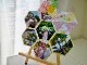 188/WonderHouse/�������ϥ���/������ȴ����/ϻ�ѷ� �إ������� �쥤�䡼