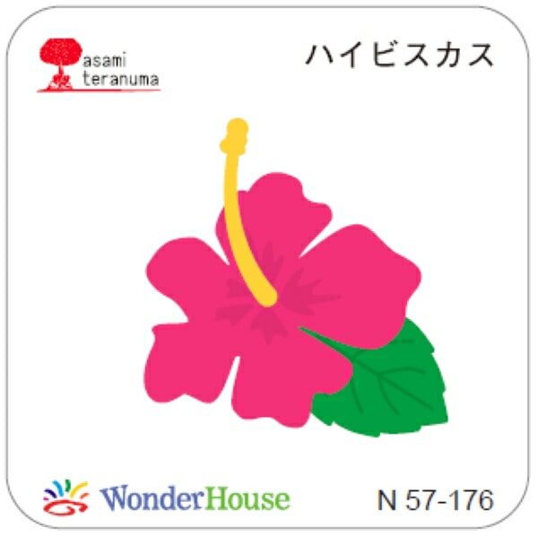  / N57-176   / ϥӥ  N57꡼   /ϥ