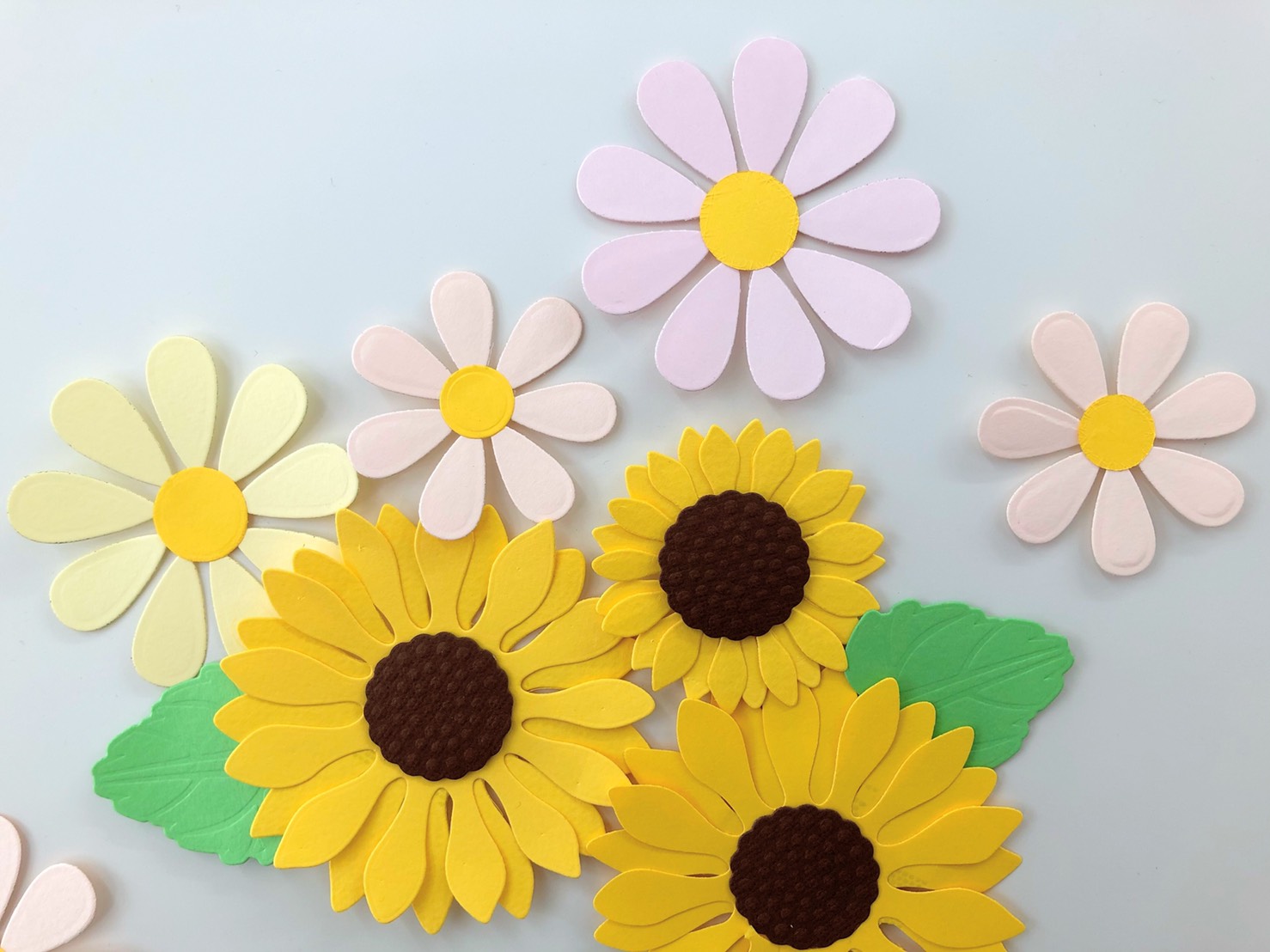 N57-018/WonderHouse/�������ϥ���/������ȴ����/circles �� ���å�