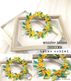 345/WonderHouse/�������ϥ���/������ȴ����/��ܥ� ribbon ��