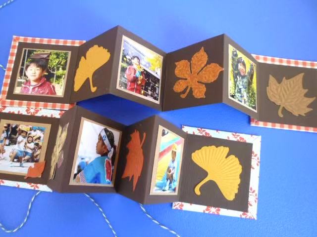 W04-014/WonderHouse/�������ϥ���/������ȴ����/ �դä� �����祦��������  4�祻�å�