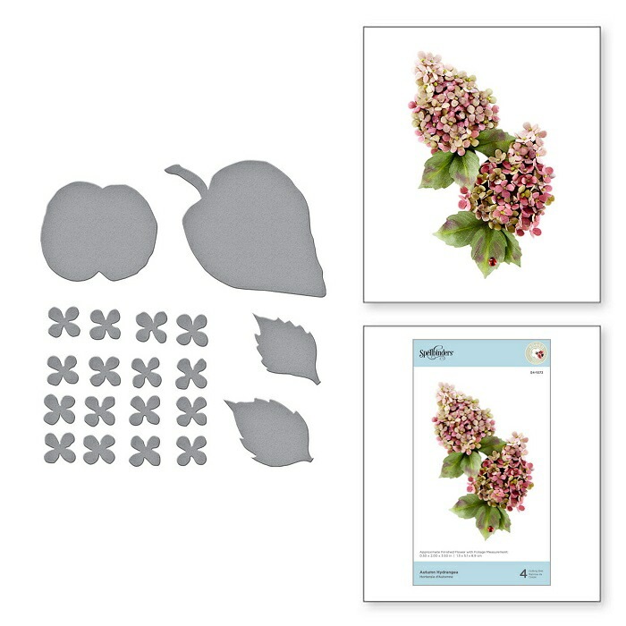 S4-1073/ڥХ/ȴ/ Hydrangea Υ