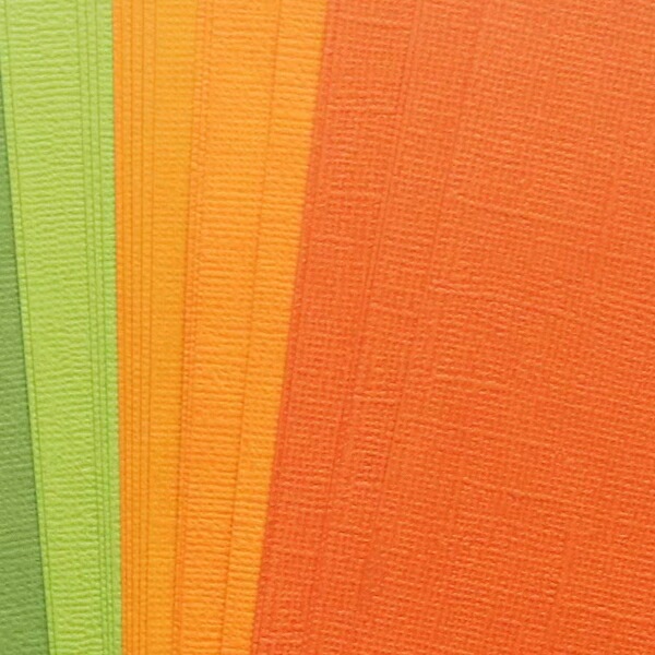 ڡѡåȡʥ&С/P803426/10 A4 (29.821.0cm)/ ϥ