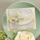 S4-1163/ڥХ/ȴ/ Cinch and Go Blossoms 饵顡