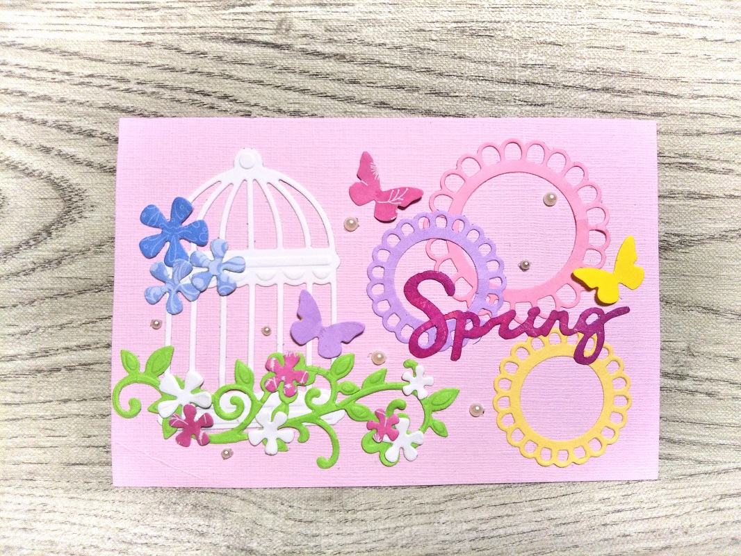 311/WonderHouse/�������ϥ���/������ȴ����/ �ϡ��� �� ĳ 8�祻�å�