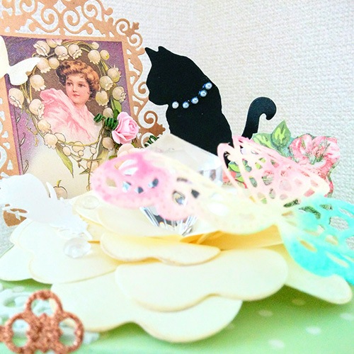 209/WonderHouse/�������ϥ���/������ȴ����/ ǭ ĳ �����ե졼�ࡡ���祻�å�