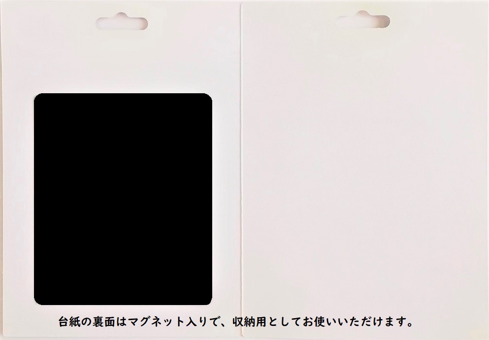 W08-010/WonderHouse/�������ϥ���/������ȴ����/�ͥ��ƥ��� Ĺ���� �쥯���󥰥� �쥤�䡼