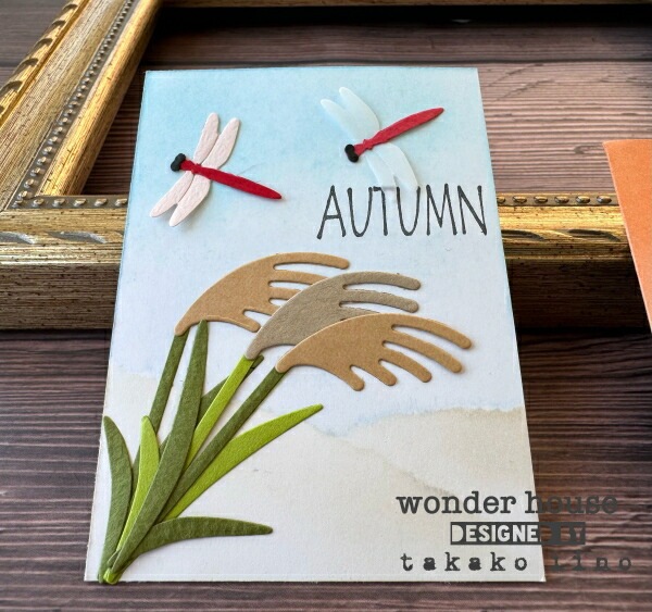 ���� / N57-178 /   �ȥ�ܡ��Ȥ�ܡ�������������/�������ϥ���