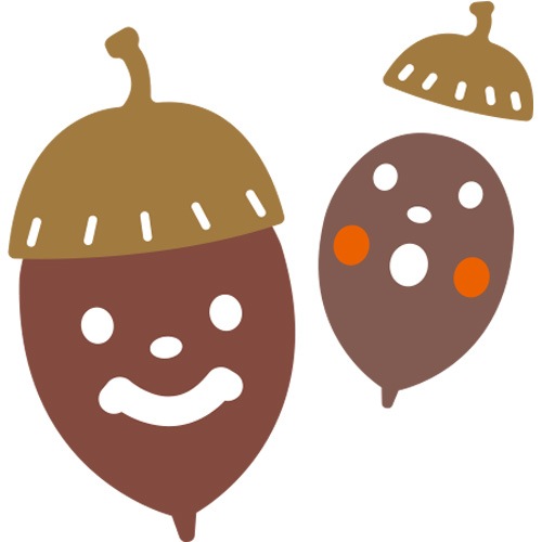 N42-235/WonderHouse/�������ϥ���/������ȴ����/acorn �ɥ󥰥� �ɤ󤰤�