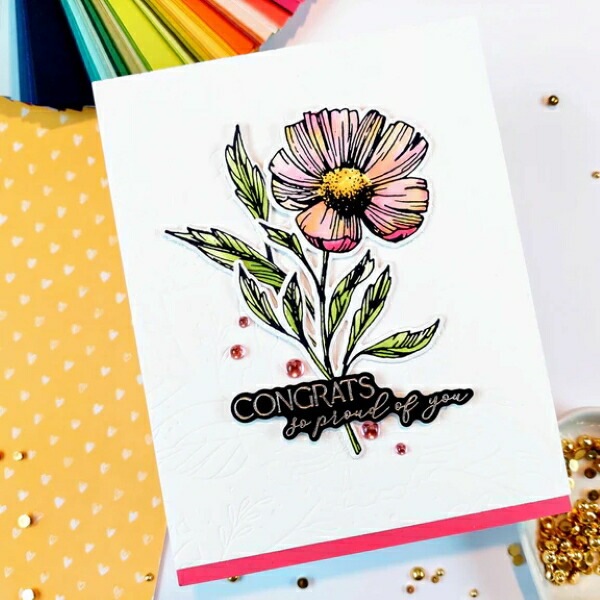 ٥ץ쥹ץ졼/ BP-108 /  ֡դä /FLOWER STEMS PRESS PLATE & DIE SET/ڥХ ϥ٥ץ쥹ץ졼ȤȥΥåȤȤʤޤ