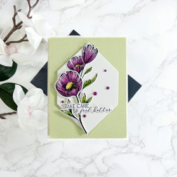 ٥ץ쥹ץ졼/ BP-108 /  ֡դä /FLOWER STEMS PRESS PLATE & DIE SET/ڥХ ϥ٥ץ쥹ץ졼ȤȥΥåȤȤʤޤ