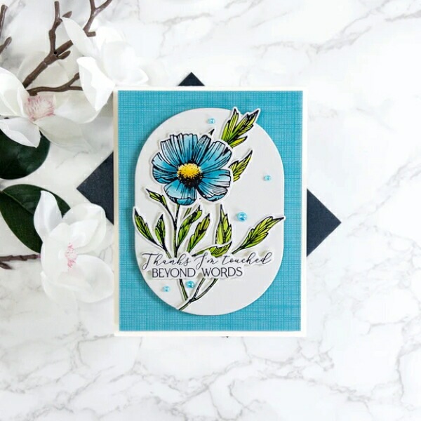 ٥ץ쥹ץ졼/ BP-108 /  ֡դä /FLOWER STEMS PRESS PLATE & DIE SET/ڥХ ϥ٥ץ쥹ץ졼ȤȥΥåȤȤʤޤ