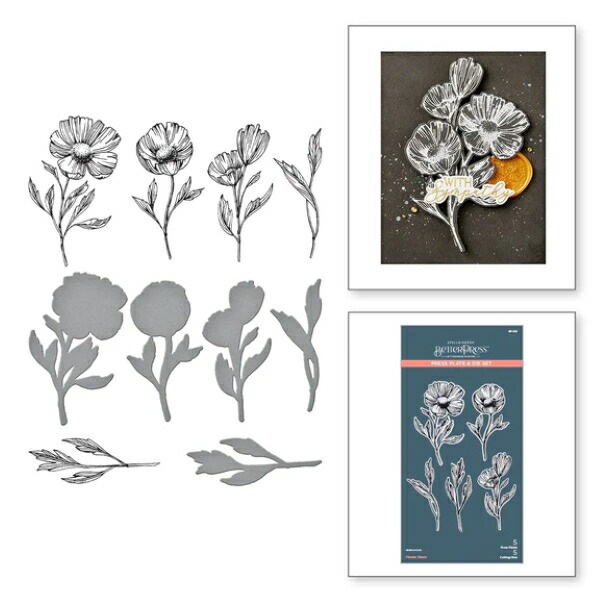 ٥ץ쥹ץ졼/ BP-108 /  ֡դä /FLOWER STEMS PRESS PLATE & DIE SET/ڥХ ϥ٥ץ쥹ץ졼ȤȥΥåȤȤʤޤ