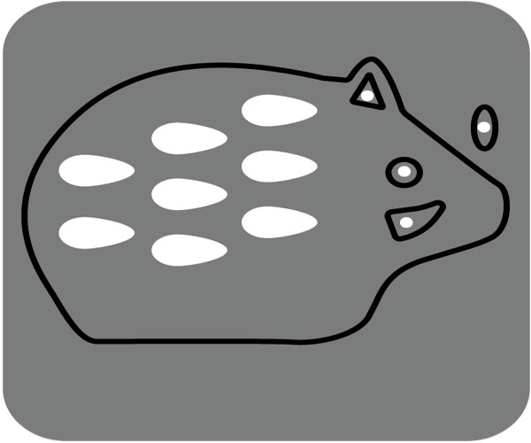 N42-339/WonderHouse/�������ϥ���/������ȴ����/�硡���Τ�������