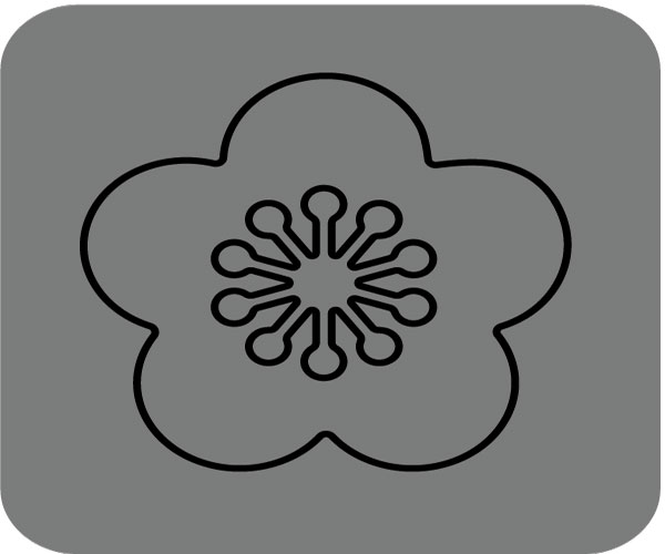 N42-343/WonderHouse/ϥ/ȴ/ߡ