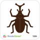 N42-200/WonderHouse/�������ϥ���/������ȴ����/beetle ���֥ȥॷ