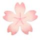 N35-168/WonderHouse/�������ϥ���/������ȴ����/cherry blossom ������ ������ ��