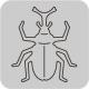 N42-200/WonderHouse/�������ϥ���/������ȴ����/beetle ���֥ȥॷ