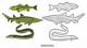 6002-0334/Joy! Crafts/���祤������ե�/������ȴ����/Fish ��