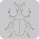 50-042/WonderHouse/ϥ/ݥ󥸥ȴ/beetle ֤Ȥष ֥ȥॷ<br>ա򤤥ݥʬѲ
