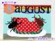 N42-200/WonderHouse/�������ϥ���/������ȴ����/beetle ���֥ȥॷ
