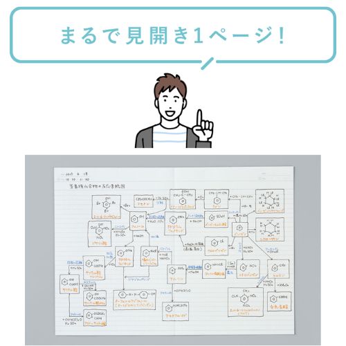 キャンパス フラットが気持ちいいノート（ドット入り罫線）3色パック