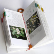 ʸۡڤΤ åǥ󥰥֥åޡ