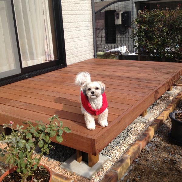 ָ3055x2300mm Ĵ«դ åȥǥå/ޥ󥸥ڹѵ