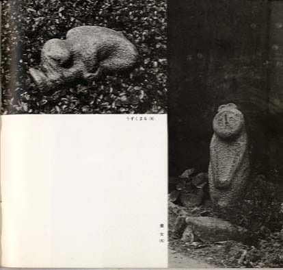 �������ס�Į¤��������Ħ���ʽ����Խ�������ƣ��