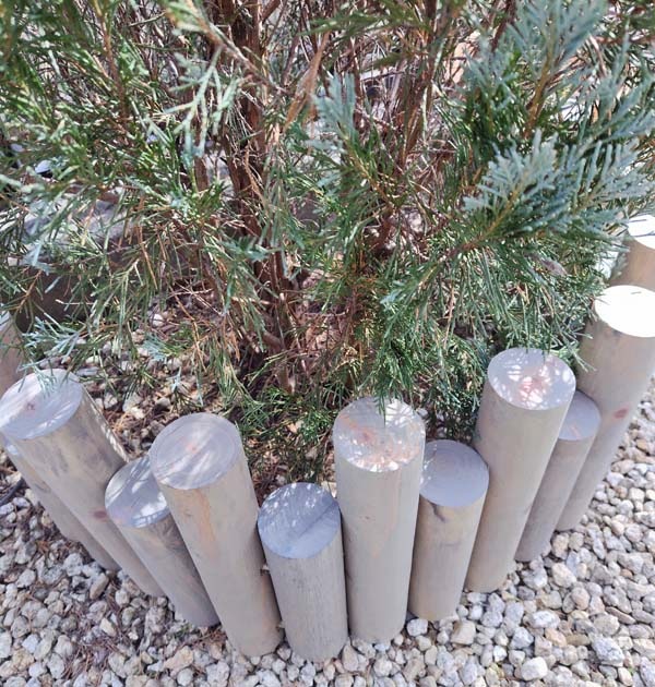 ڥǥۡڴե󥹡 ñϢե󥹡ѥ