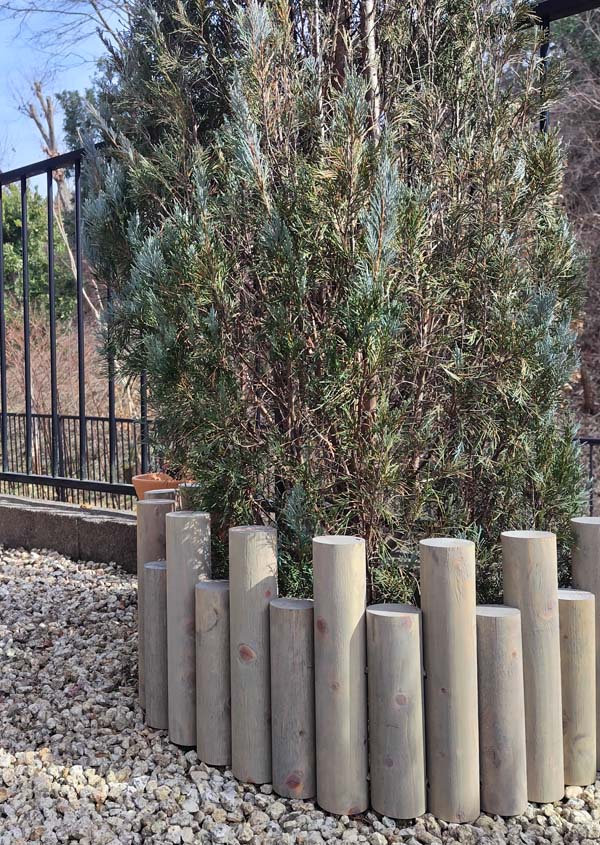 ڥǥۡڴե󥹡 ñϢե󥹡ѥ