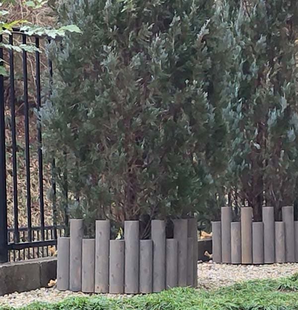 ڥǥۡڴե󥹡 ñϢե󥹡ѥ